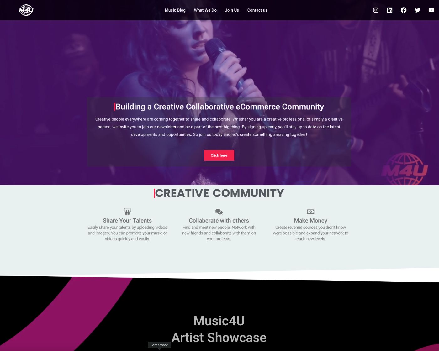 Music4U music platform website design project by David Anthony Design