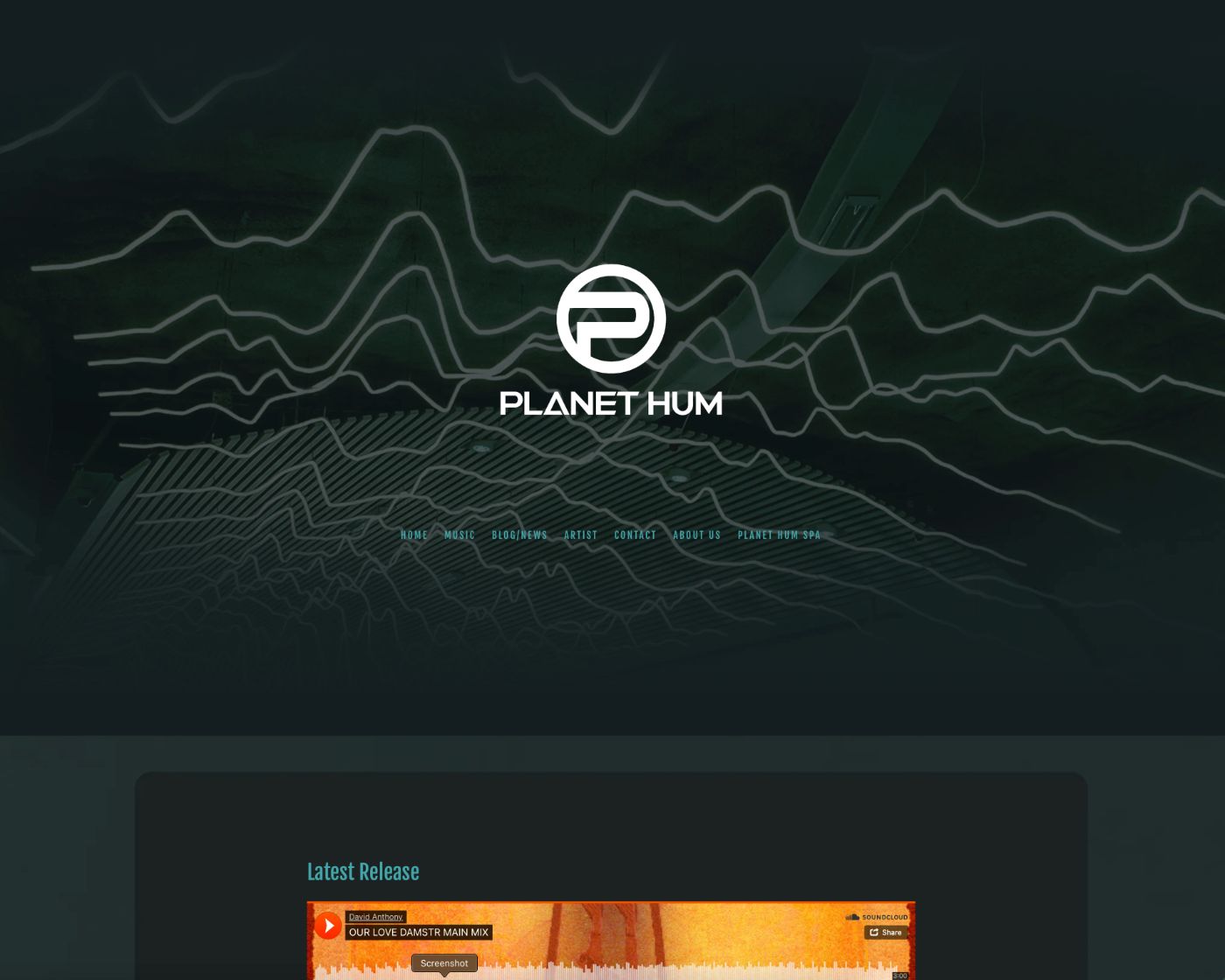 Planet Hum independent record label website design